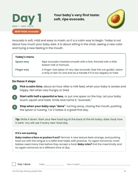 Day 1 page from the plan: today's menu, three steps and an if-it's-not-working box